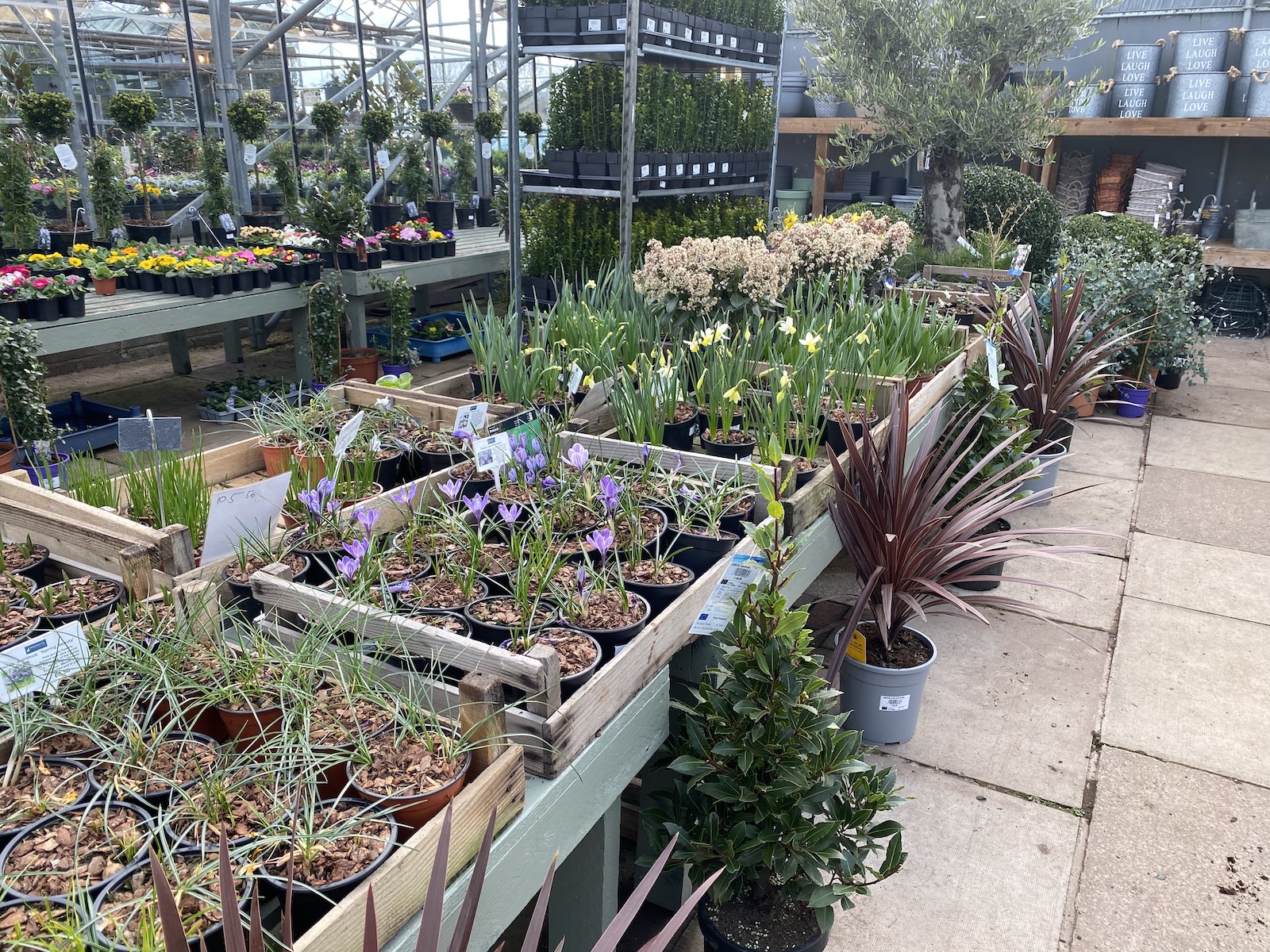 Primrose Hill Nursery lymm.uk